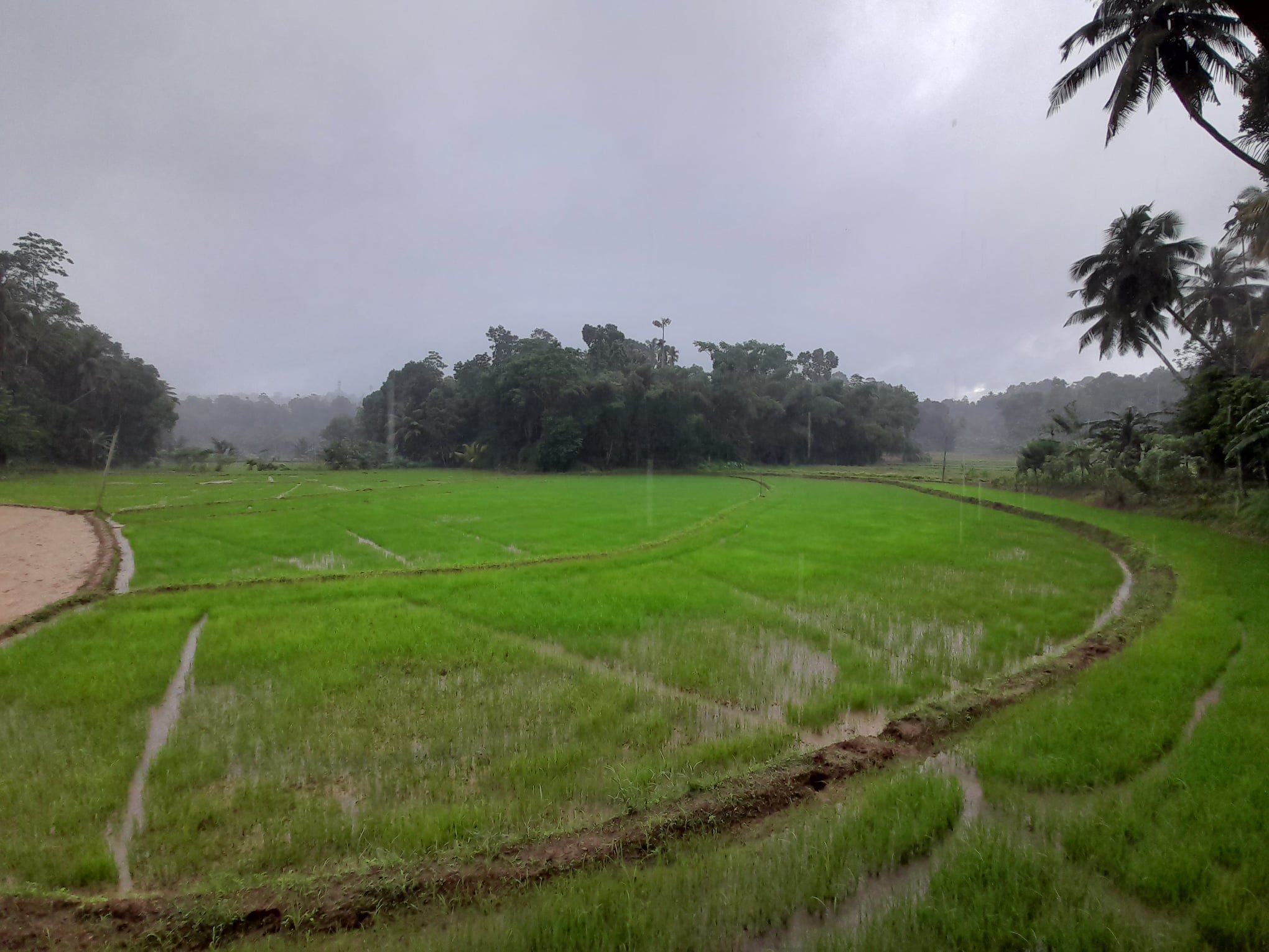 නිහඬ කරනු ලැබූ මයි 19 වෙනුවෙන් !