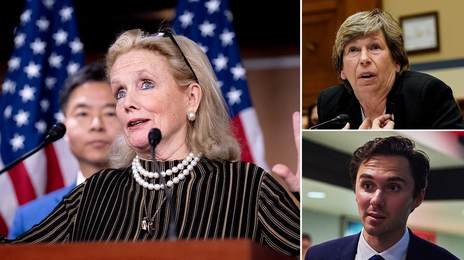 Democrats lament ‘party drama’ and lack of unity as frustrations with DNC grow​​