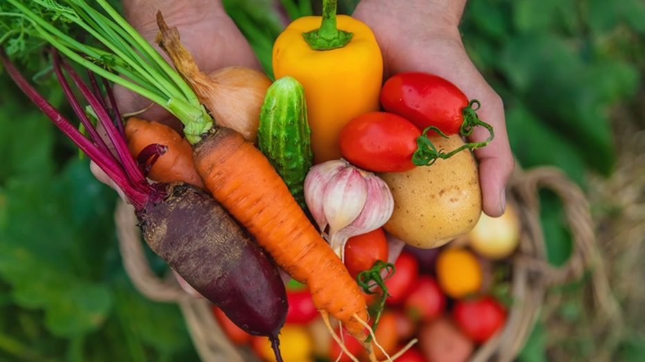 Mother begs thieves to stop raiding her garden after neighbor’s free farm stand sparks confusion​​