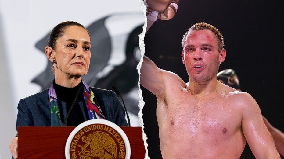 Mexico President expects boxer Julio César Chávez Jr. to be deported, hopes he serves sentence in home country​​
