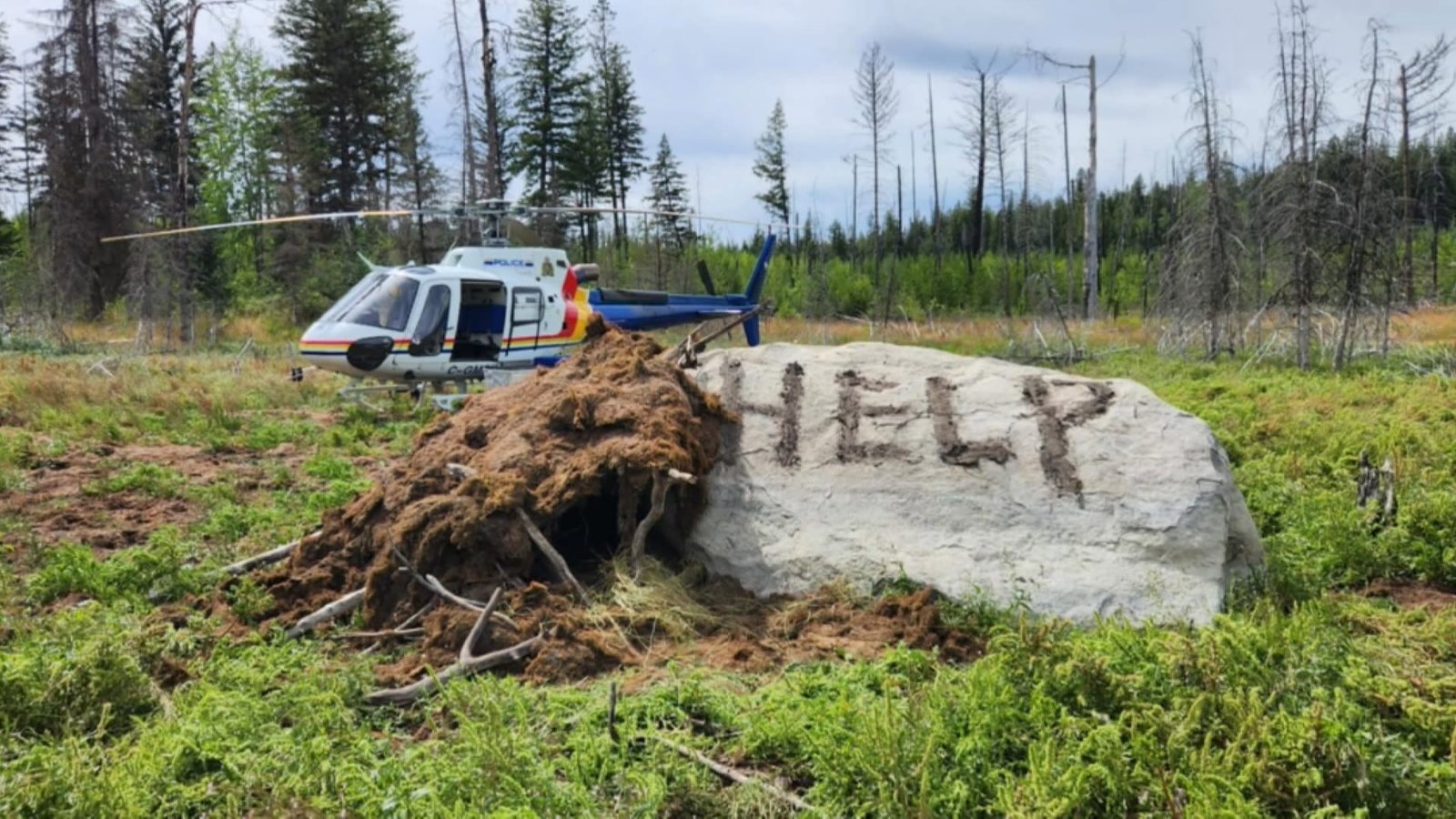 39 year-old missing in central B.C. wilderness found alive​Jacob New​
