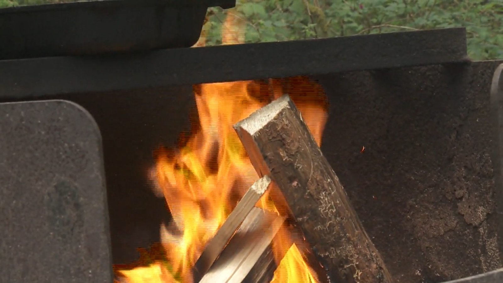 Nearly $30K in fines issued over illegal campfires on B.C. Day long weekend​Simon Little​
