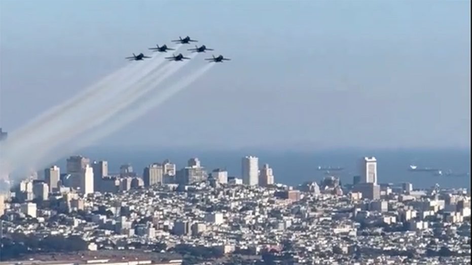 Baloney about Blue Angels, biting in the office, and more. July’s seven craziest stories​​