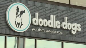 Calgary small business blames ongoing construction for forcing it to shut its doors​Ken MacGillivray​