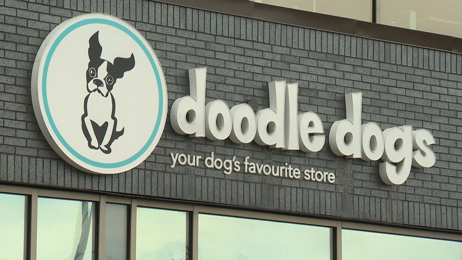 Calgary small business blames ongoing construction for forcing it to shut its doors​Ken MacGillivray​