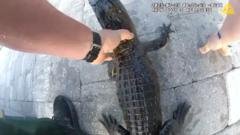 Watch: Police officer removes alligator from family’s pool with bare hands​​
