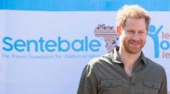 No bullying found in Harry charity row, but blame for all sides​​