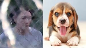 Ghislaine Maxwell blocked from puppy training program at Federal Prison Camp Bryan: report​​