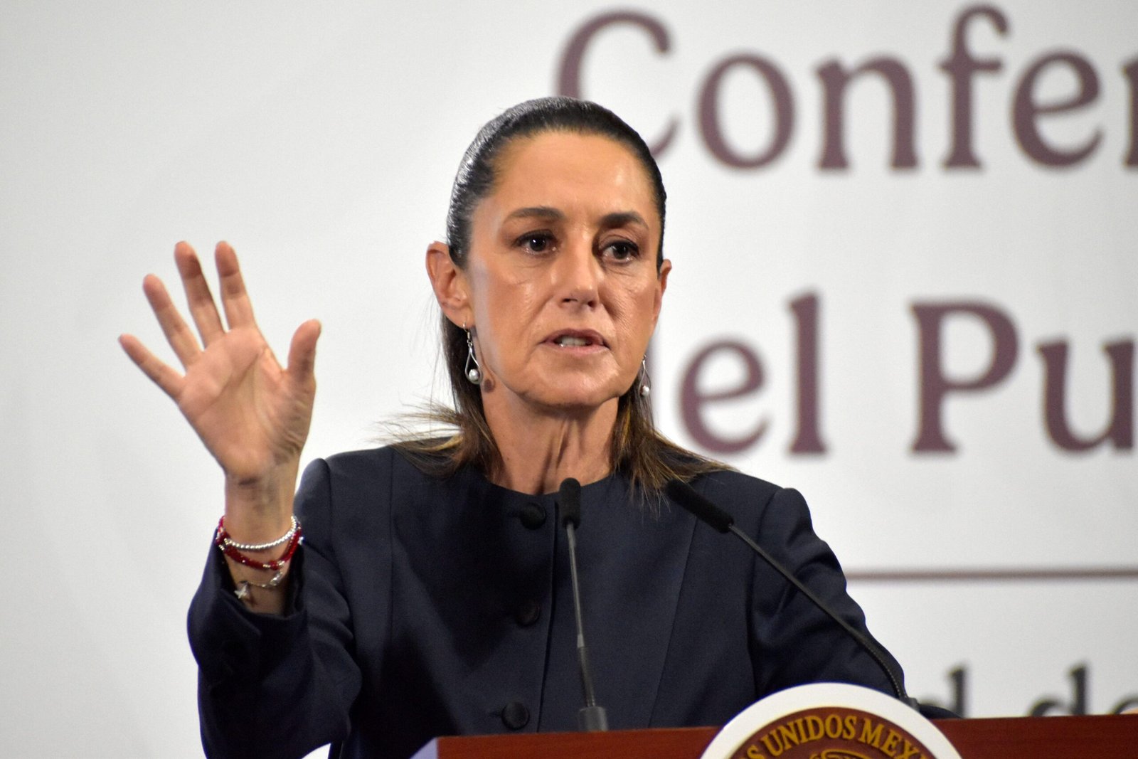 Mexico’s president rules out U.S. military entering to fight cartels​Globalnews Digital​