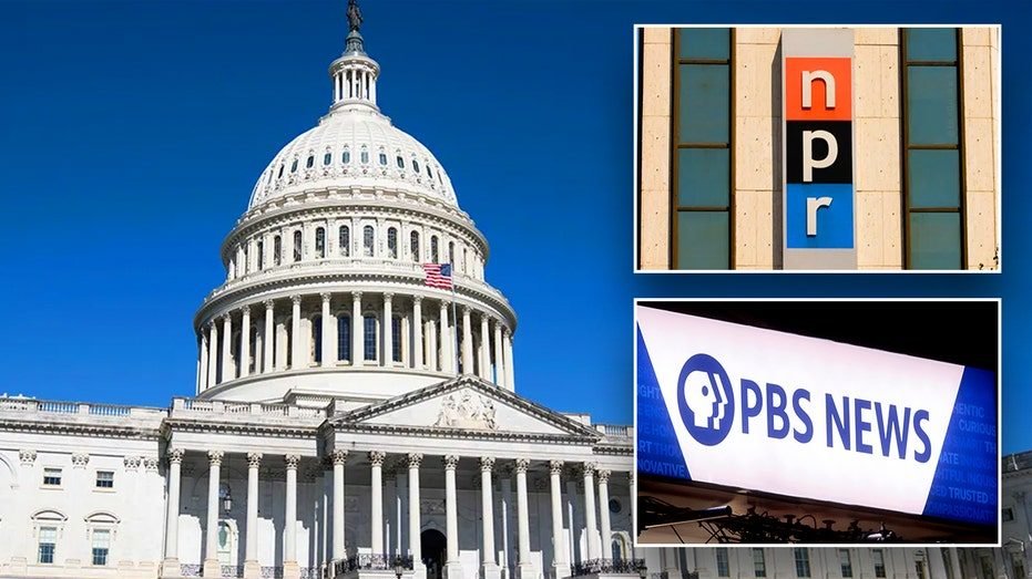 GOP lawmakers, conservatives rejoice as Corporation for Public Broadcasting announces closure​​