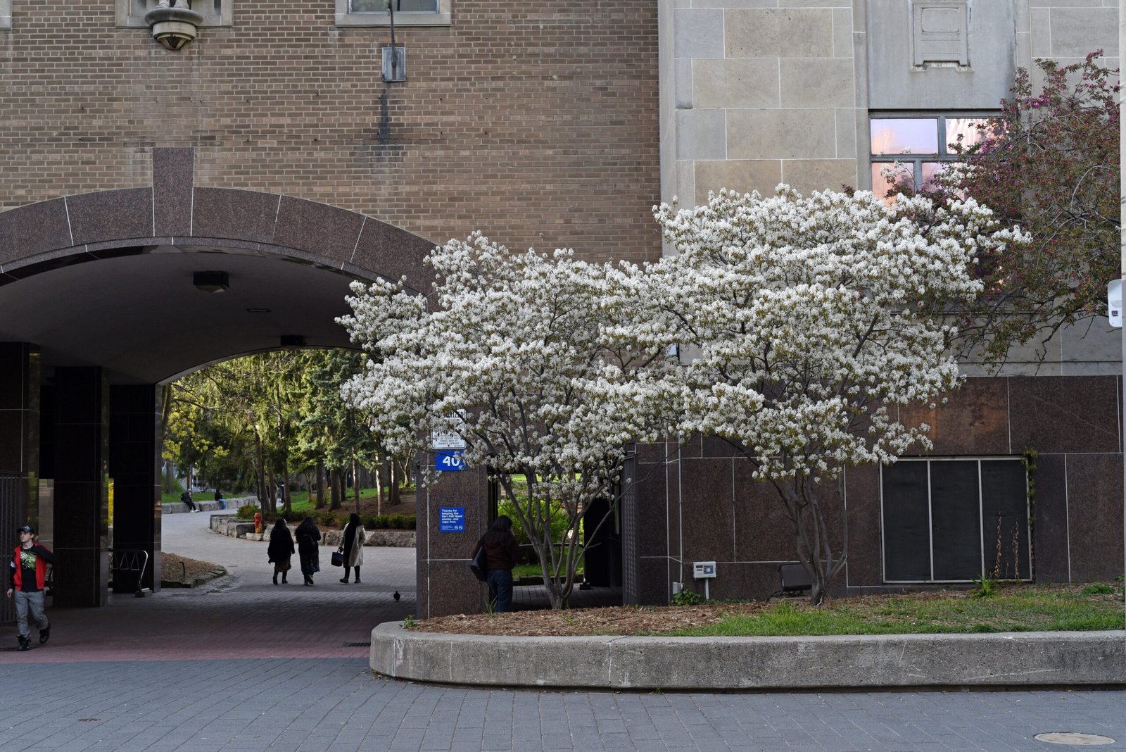 ‘It’s not a freebie’: Ford government defends OSAP changes as opposition continues​Isaac Callan​