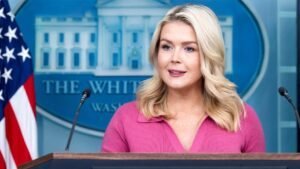 Leavitt flips script on media for balking at Fulton election probe after years of promoting Russia claims​​