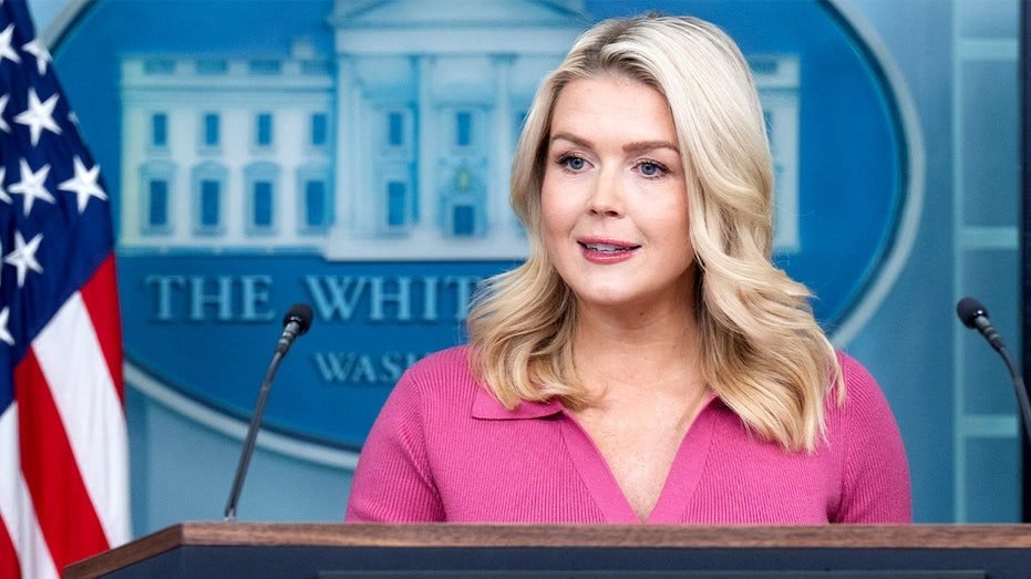 Leavitt flips script on media for balking at Fulton election probe after years of promoting Russia claims​​