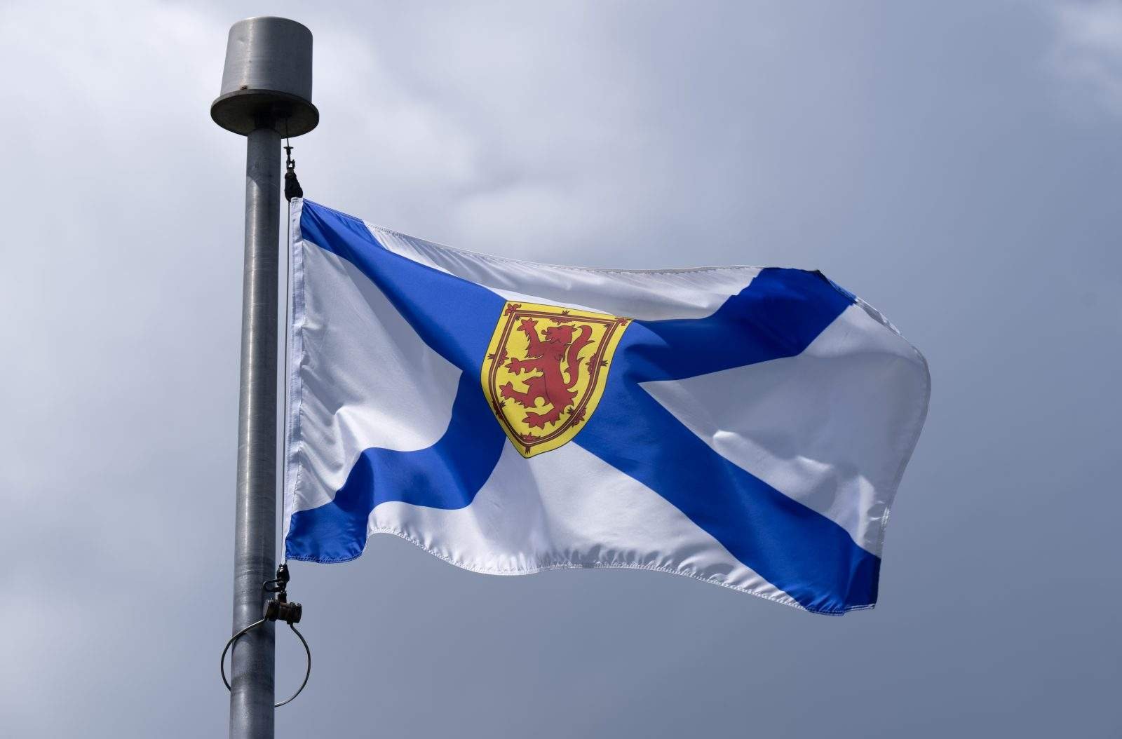 Police watchdog to investigate after alleged hit and run in Halifax​Globalnews Digital​